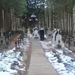 cimitirul-manastirii-sihastria-1_3bb6a105cd4d7a