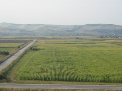 teren agricol