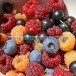fructe padure
