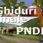 Ghiduri_finale_PNDR_web