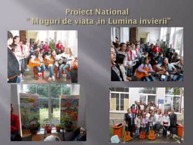 proiect national