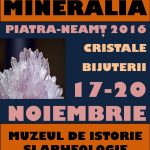 expozitie-mineralia1
