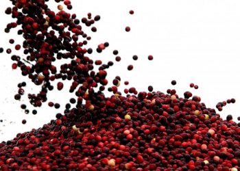 Alimente pentru sănătatea rinichilor