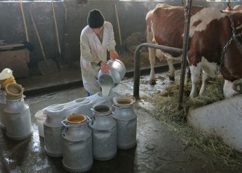 Utilizări incredibile ale laptelui